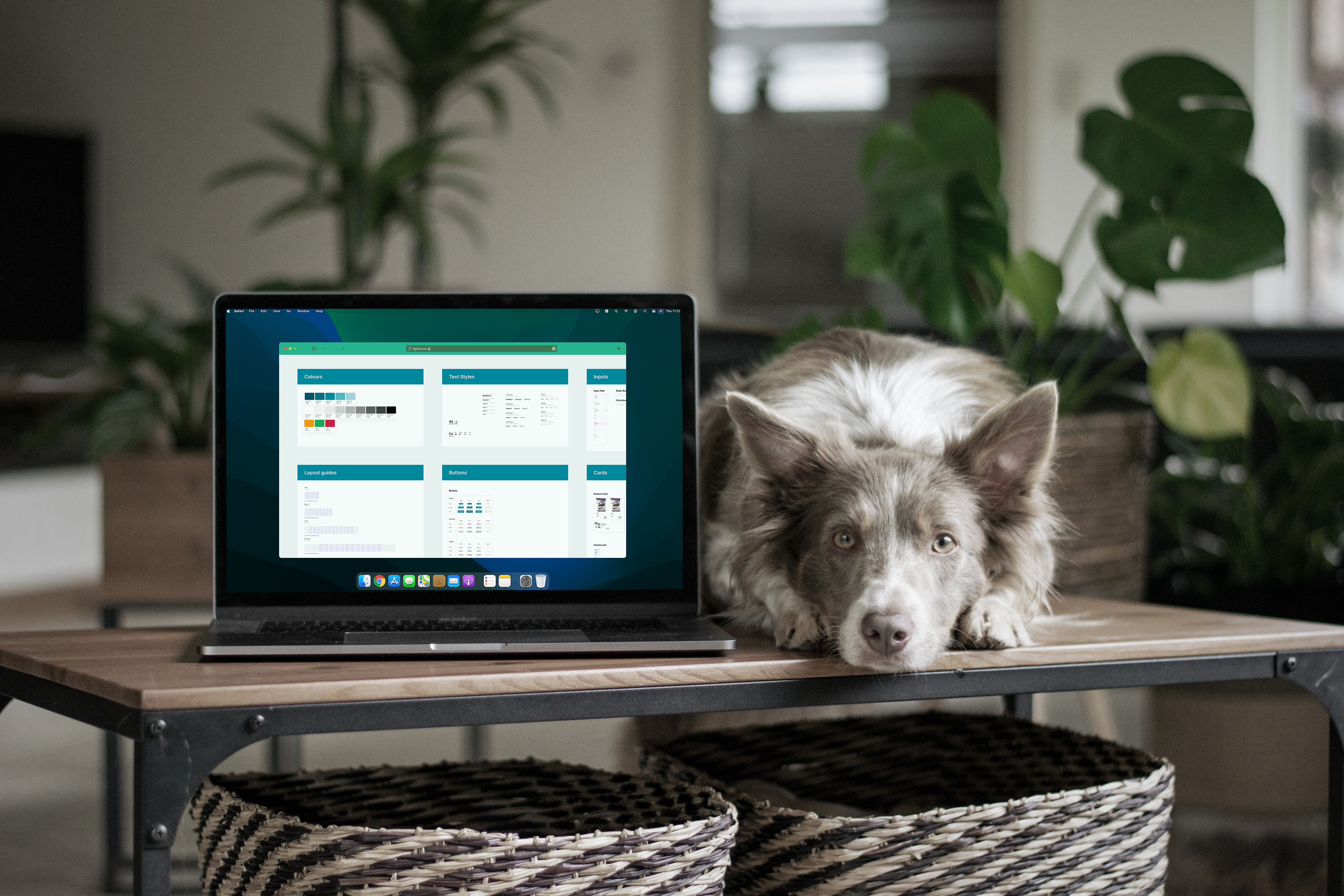 Style guide and design system documentation